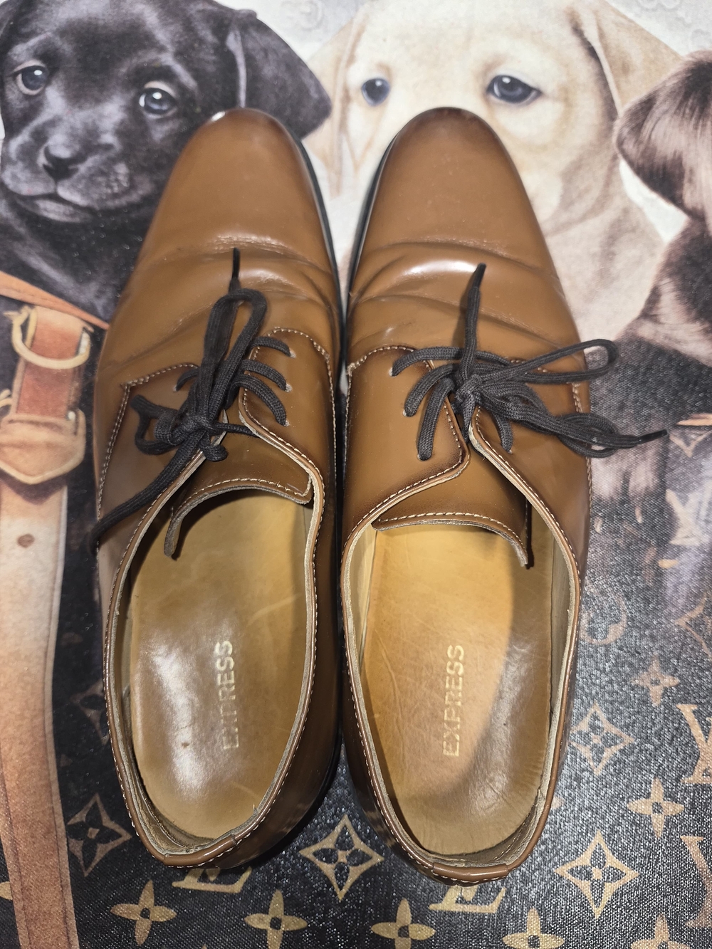 Express Men's Brown Leather Lace-Up Dress Shoes